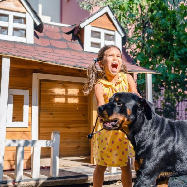 My Neighbor’s Dog Bit My Child: Can I Sue?