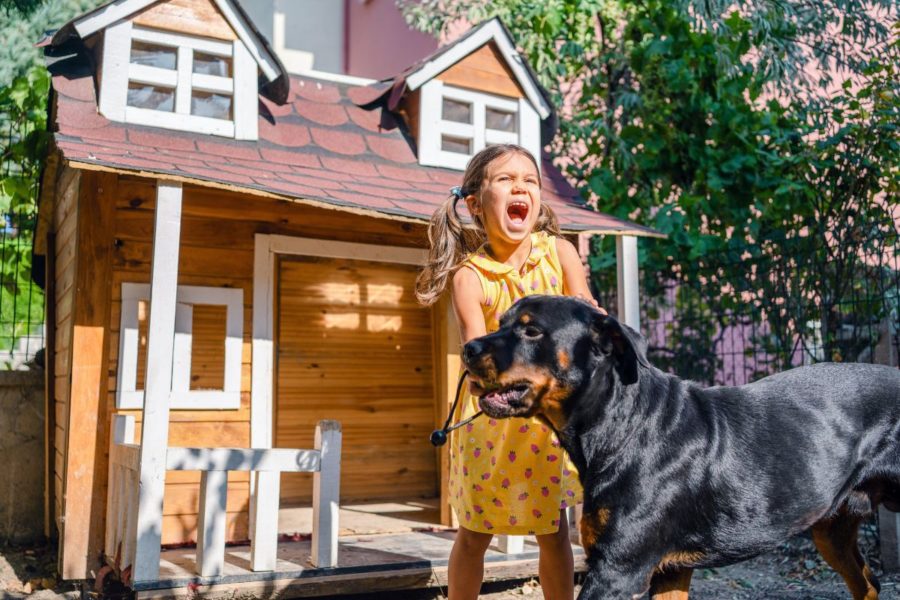 My Neighbor’s Dog Bit My Child: Can I Sue? | Dailey Law Firm